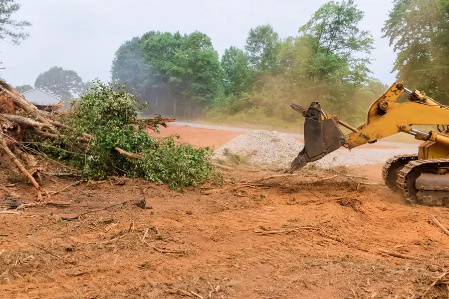 Affordable Land Clearing Canton, TX Affordable Land Clearing Canton, TX