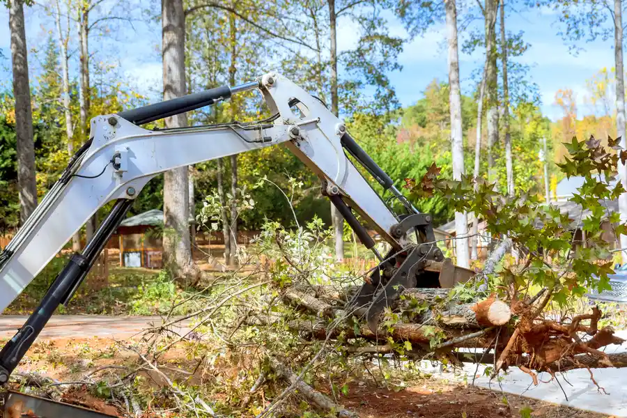 Excellent Land Clearing Canton, TX Excellent Land Clearing Canton, TX